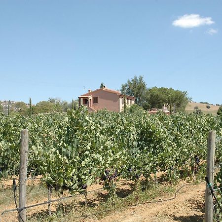 Agriturismo Pian Dei Pini Montiano  Exterior photo