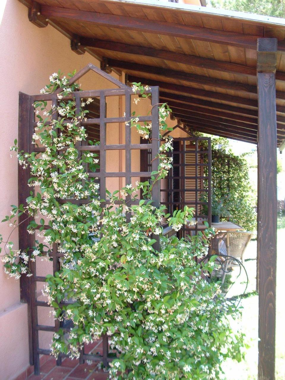 Agriturismo Pian Dei Pini Montiano  Exterior photo