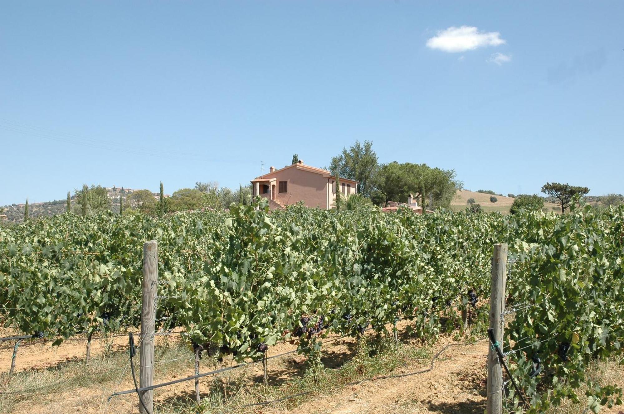 Agriturismo Pian Dei Pini Montiano  Exterior photo