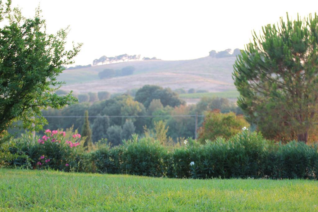Agriturismo Pian Dei Pini Montiano  Exterior photo