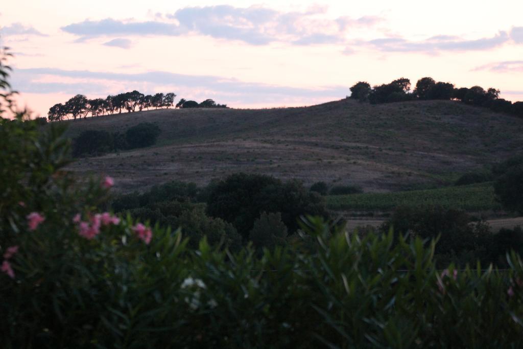 Agriturismo Pian Dei Pini Montiano  Exterior photo