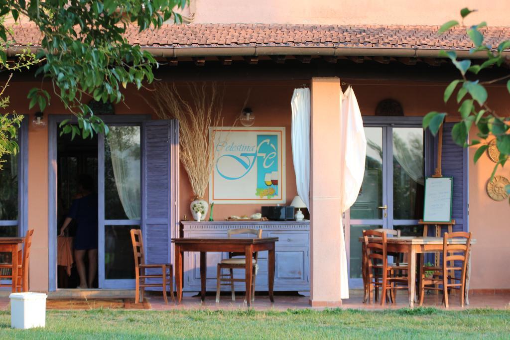 Agriturismo Pian Dei Pini Montiano  Exterior photo